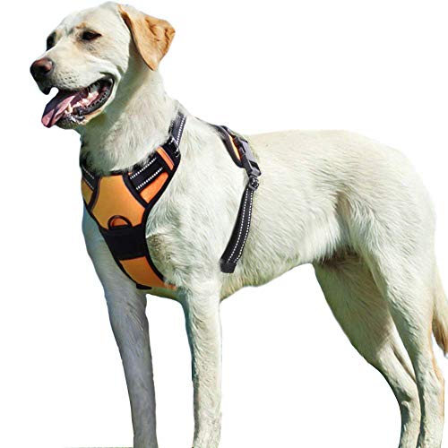 Eagloo Arnes de Perro Antitirones Cómodo Chaleco Ajustable Correa al Cuello y Pecho para Perros Grande Material Duradero Transpirable con Cinta Reflectante Adaptarse a Ejercer Externo L/Naranja