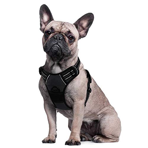 Eagloo Arnes de Perro Antitirones Cómodo Chaleco Ajustable Correa al Cuello y Pecho para Perros Pequeños Material Duradero Transpirable con Cinta Reflectante Adaptarse a Ejercer Externo S/Negro