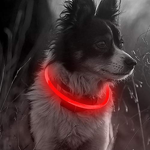 ELANOX - Collar para Perros con luz LED, Recargable, USB, se Puede Cortar