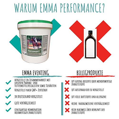 EMMA Piensos para Caballos Piensos para Caballos con vitaminas B, Selenio y Zinc I Vitamina A,C,E con Soja I Fortalecimiento Muscular para Caballos, Esqueleto, vitalidad, energía 6 Kg.