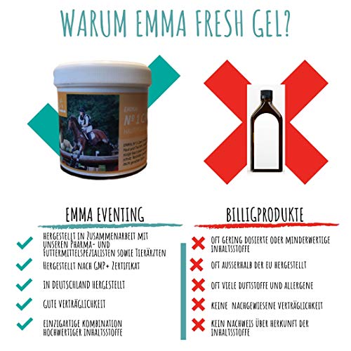 EMMA Ungüento de Zinc para Caballos y Perros Ungüento para la cicatrización de heridas I Cuidado de la Piel I Pasta de Zinc para la irritación de la Piel, picazón, Eczema 250 ml