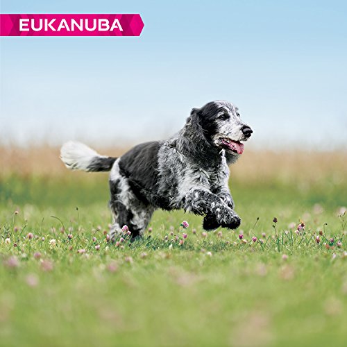 EUKANUBA Edad Avanzada con Necesidad de Cuidados Raza Mediana rico en pollo fresco [12 kg]