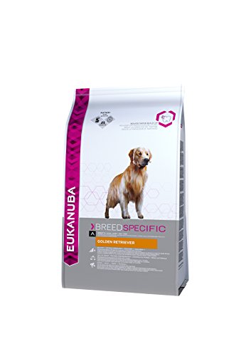 Eukanuba Golden Retriever Adulto [12 Kg]