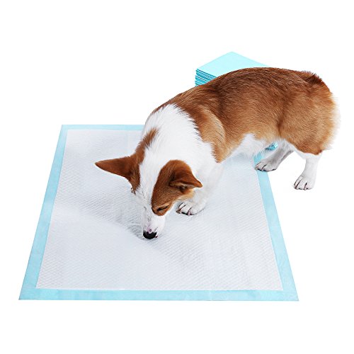 FEANDREA 100 Unidades Empapadores Toallitas Pañales Almohadillas de Entrenamiento para Mascotas Absorbente 60 x 60 cm PTD60B