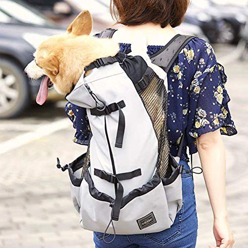 FLkENNEL Mochila Transpirable para Perros y Gatos,Bolsa de Transporte con Trekking Ciclismo Viajes Moto Compras Trekking,Plegable, Conveniente, Caja,Gray,S