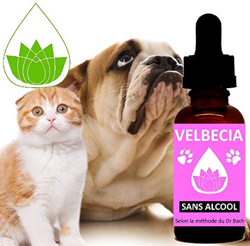 Flores de Bach Animal con miedo sin alcohol Velbecia 30 ml (antimiedo perro gato, fuegos artificiales, naranja) – Mezcla de flores de Bach Original para reducir el miedo, no más pánicas.