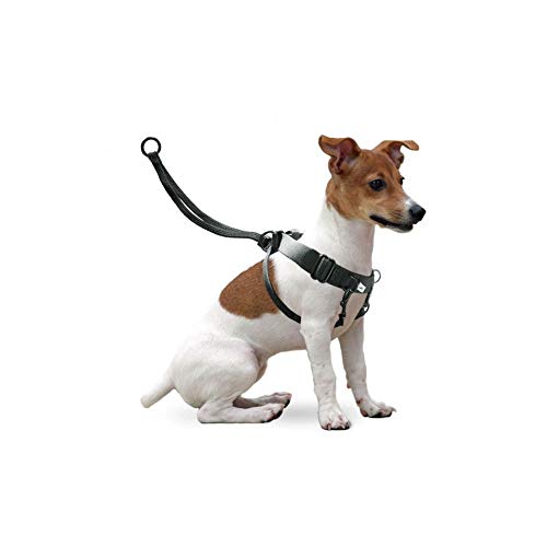 Global Arnés de Entrenamiento Easy Walker | Arnés de adiestramiento para Perros | Arnés Easy Walker Talla L