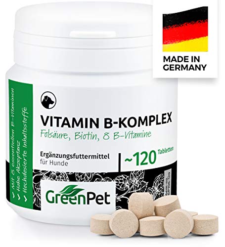 GreenPet Complejo de Vitamina B Perros - 8 vitaminas B, biotina, ácido fólico, minerales, Alta dosis para Perros Viejos (Senior), jóvenes y Cachorros, 4 Meses