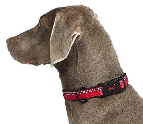 Halti Collar (14" - 20")