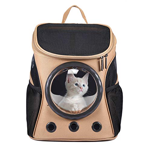 HAPPY HACHI Mochila Gatos Transportin Perros Pequeño Portador Capazo Mascotas Bolsa Perro Transporte Transparente Conveniente para Viaje Caminando Marrón