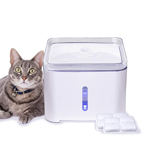 Hengu Fuente de Agua para Gatos, 2L Bebedero Dispensador de Agua Silencioso para Gatitos, Perros, Mascotas con Luz Nocturna & Función de Apagado Automático (con 2 Paquetes de Filtros de Carbón)