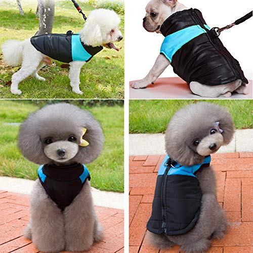 Homieco Abrigo para Perros, Invierno Caliente Chaqueta para Mascotas Perros, Ropa Impermeable para Perros, Ropa Traje para Mascotas - Azul