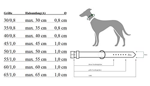 HUNTER Collar de Doma Freestyle, Cuerda