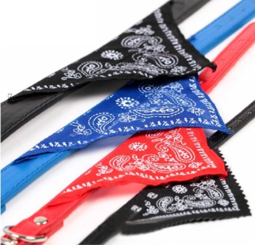 HuntGold precioso Collar Pequeño Pañuelo Bandana Decoración para perro gato perrito (rojo)