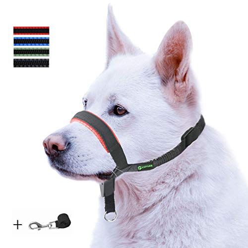 ILEPARK Correa de Adiestramiento para Perros de Piel Acolchado - Confortable al Tacto, el Collar para Perros Frena los Tirones y Deja de Tirar, Ajustable, Herramienta de Entrenamiento (M,Rojo)