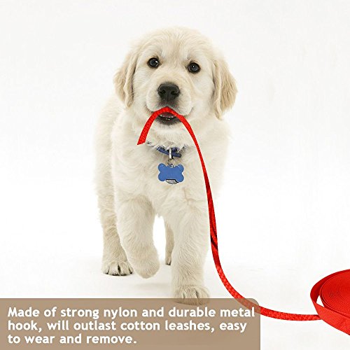 iNeego NEEGO Correas Básicas para Perros 10M Correa de Perro Obediente Cuerda Nylon Largo Mascota Perro Formación Correa de Entrenamiento Llevar (Rojo, 10M)