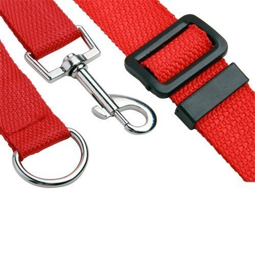 iNeego NEEGO Correas Básicas para Perros 10M Correa de Perro Obediente Cuerda Nylon Largo Mascota Perro Formación Correa de Entrenamiento Llevar (Rojo, 10M)