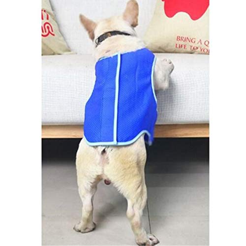 iplusmile Chaleco Refrigerante para Perros Chaqueta Azul Multifuncional para Enfriar Mascotas Chaleco de Malla Ropa para Enfriar El Hielo del Perro para Perros Medianos Y Grandes (L Azul)