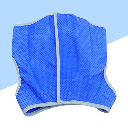 iplusmile Chaleco Refrigerante para Perros Chaqueta Azul Multifuncional para Enfriar Mascotas Chaleco de Malla Ropa para Enfriar El Hielo del Perro para Perros Medianos Y Grandes (L Azul)