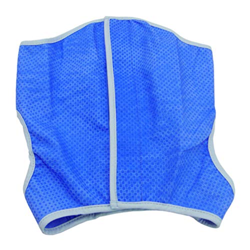 iplusmile Chaleco Refrigerante para Perros Chaqueta Azul Multifuncional para Enfriar Mascotas Chaleco de Malla Ropa para Enfriar El Hielo del Perro para Perros Medianos Y Grandes (L Azul)