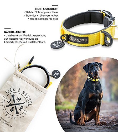 Jack & Russell Premium Collar de Perro Luna Reflectante y Neopreno Acolchado Collar de Perro Varios tamaños y Colores (Circunferencia del Cuello L (43-58 cm), Amarillo)