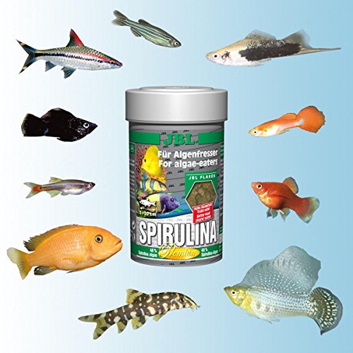 JBL Premium - Pienso Completo para Peces de Acuario, Copos y espirulina