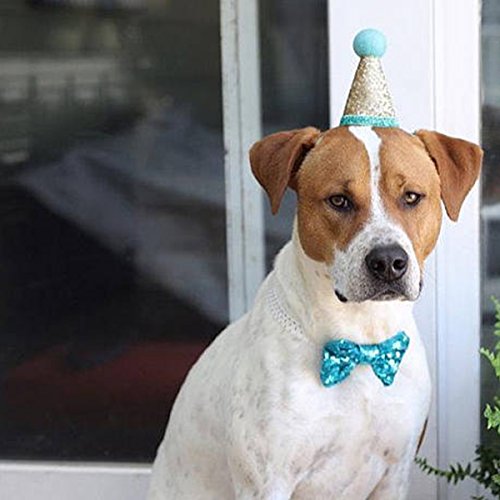 Juego de gorro de cono y pajarita de lentejuelas para perro, mini perrito o gato, decoración de fiesta de cumpleaños, accesorio para el pelo, diadema para mascotas + lazo (rosa)