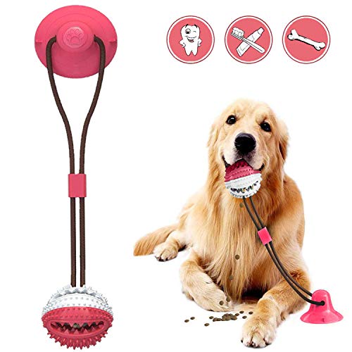 Juguete para Perros Molar,Pet Molar Bite Toy,Pelota de Goma para morder el Perro con Ventosa interactiva, Juguete para Masticar,Pelota de Entrenamiento para Cachorro Cuidado Limpieza de Dientes (Rojo)