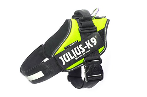 Julius-K9 16IDC - Power Harness