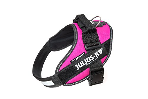 Julius-K9 16IDC - Power Harness