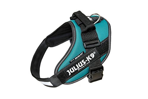 Julius-K9 16IDC - Power Harness