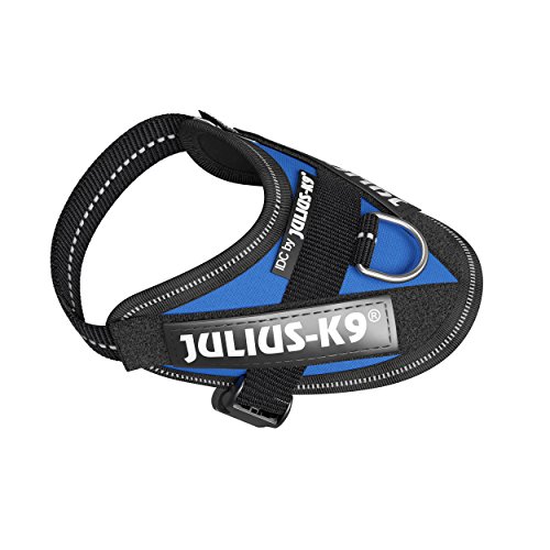 Julius-K9 16IDC - Power Harness