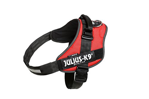 Julius-K9 16IDC - Power Harness