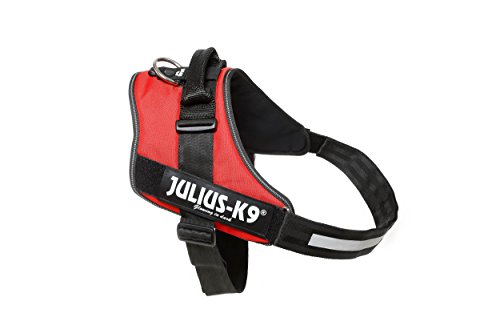 Julius-K9 16IDC - Power Harness