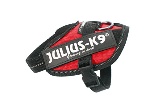 Julius-K9 16IDC - Power Harness