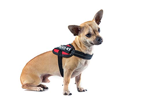 Julius-K9 16IDC - Power Harness