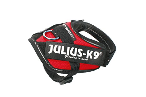 Julius-K9 16IDC - Power Harness