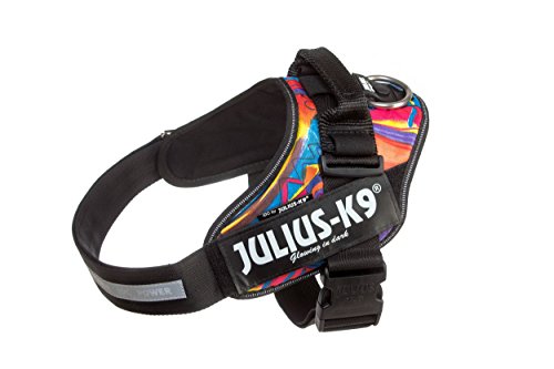 Julius-K9 16IDC - Power Harness