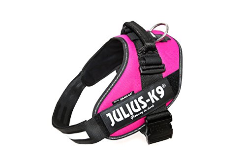 Julius-K9 16IDC - Power Harness