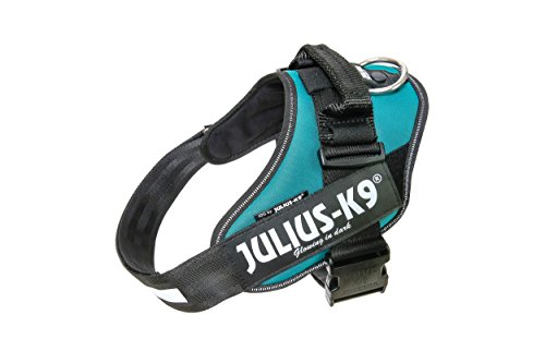 Julius-K9 16IDC - Power Harness