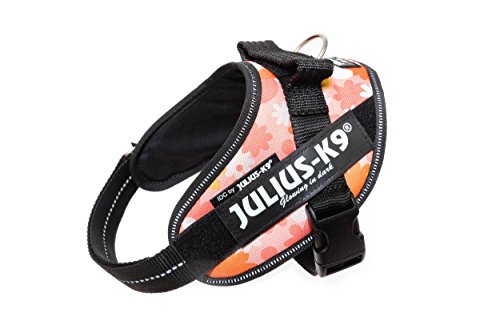 Julius-K9 16IDC - Power Harness