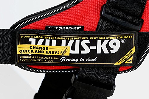 Julius-K9 16IDC - Power Harness