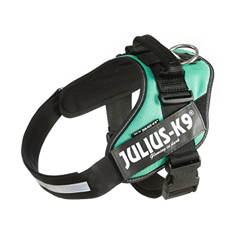 Julius-K9 16IDC - Power Harness