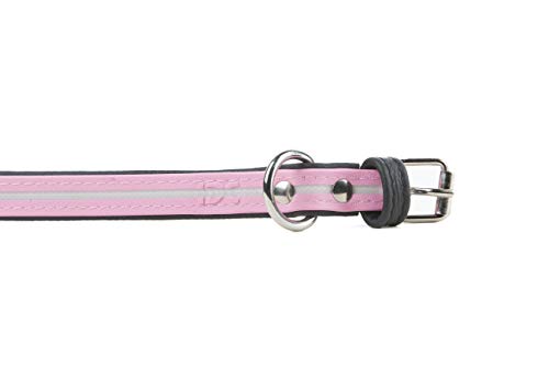 Julius-K9 214HB-L-PN-45 IDC Lumino Fosforescente Collar para Perros, 25 x 45 cm, Rosa