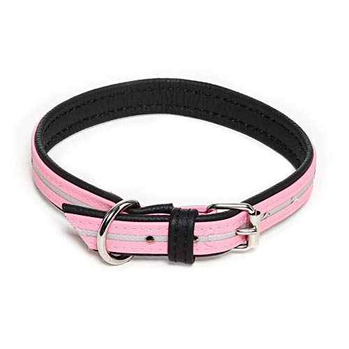 Julius-K9 214HB-L-PN-45 IDC Lumino Fosforescente Collar para Perros, 25 x 45 cm, Rosa