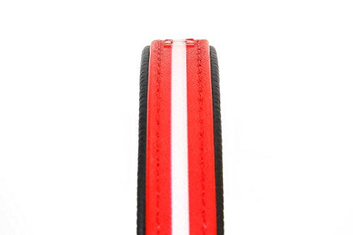 Julius-K9 214HB-L-R-70 IDC Lumino Fosforescente Collar para Perros, 25 x 70 cm, Rojo