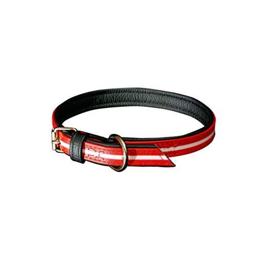 Julius-K9 214HB-L-R-70 IDC Lumino Fosforescente Collar para Perros, 25 x 70 cm, Rojo