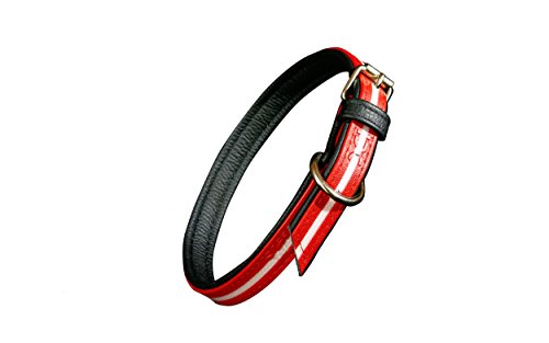 Julius-K9 214HB-L-R-70 IDC Lumino Fosforescente Collar para Perros, 25 x 70 cm, Rojo