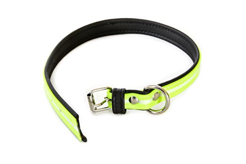 Julius-K9 214HB-L-SN-70 IDC Lumino Fosforescente Collar para Perros, 25 x 70 cm, Sun