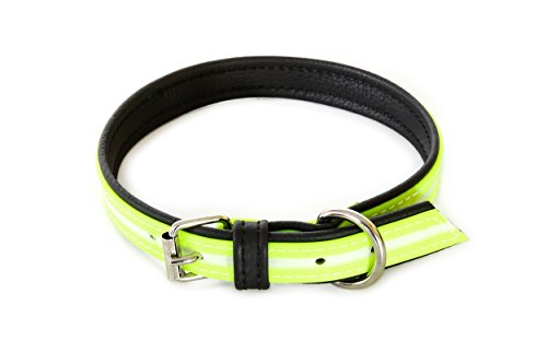 Julius-K9 214HB-L-SN-70 IDC Lumino Fosforescente Collar para Perros, 25 x 70 cm, Sun